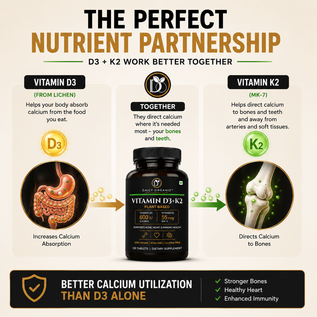 The perfect nutrient partnership — D3 and K2 work better together for calcium absorption and bone health